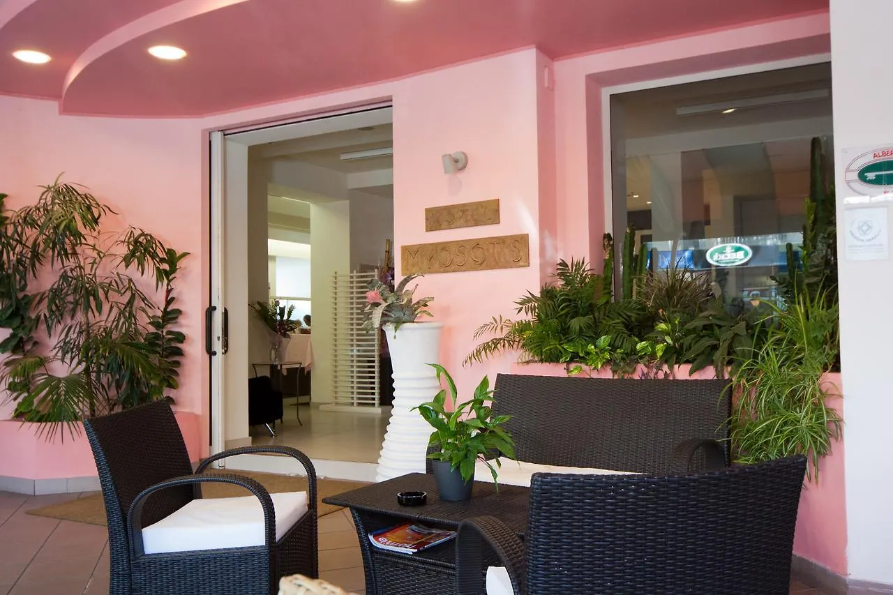 **  Hotel Myosotis Riccione Italy