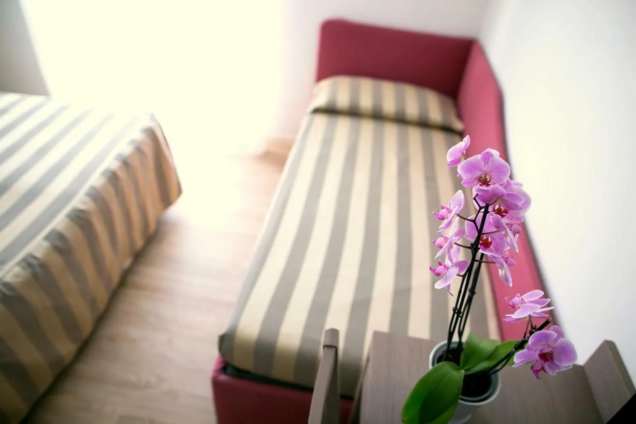 Hotel Myosotis Riccione